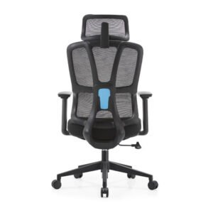 Ergonomic Home Office Chair