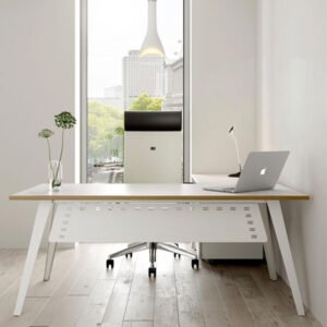 Manager White Table (5×2.5)