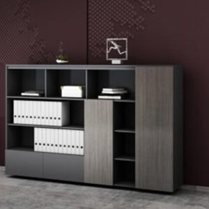 Modern Office Storage Cabinet